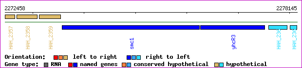 gene map