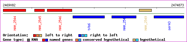 gene map