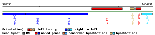gene map