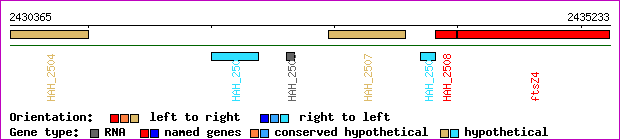 gene map