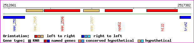 gene map