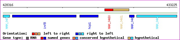 gene map