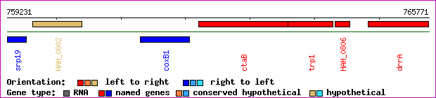 gene map
