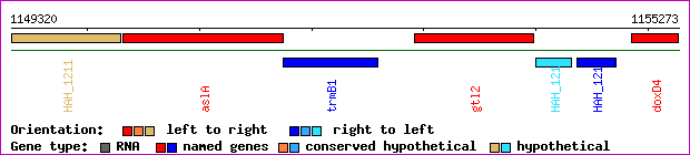 gene map
