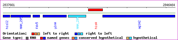 gene map