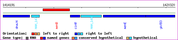 gene map