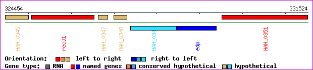 gene map