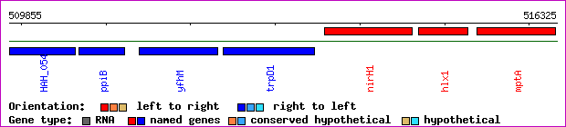 gene map