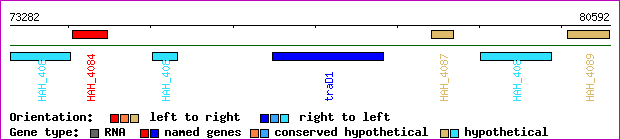 gene map