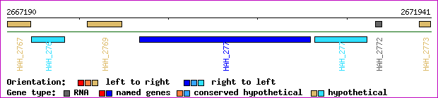 gene map