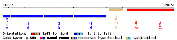 gene map