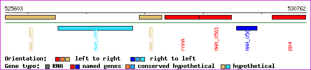 gene map