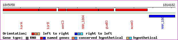 gene map
