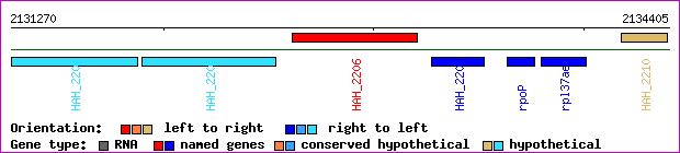 gene map