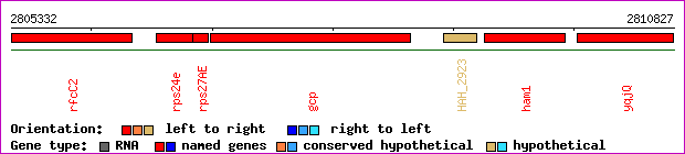 gene map