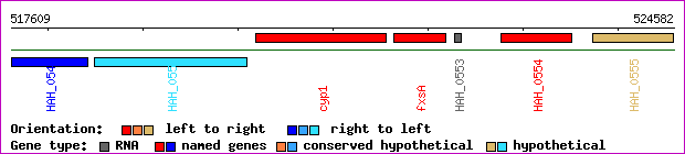 gene map