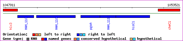 gene map