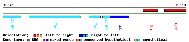 gene map