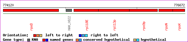 gene map