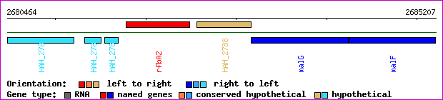 gene map