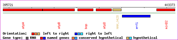 gene map