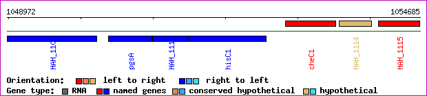 gene map