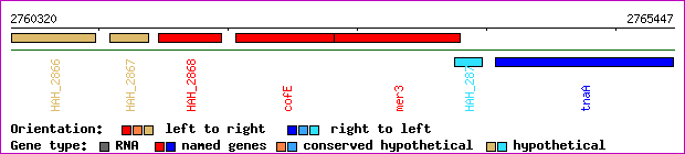 gene map