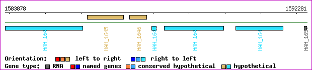 gene map