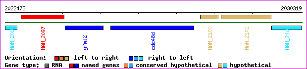 gene map