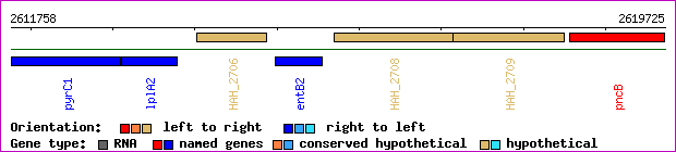 gene map