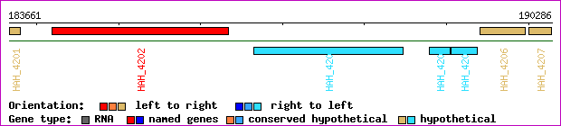 gene map