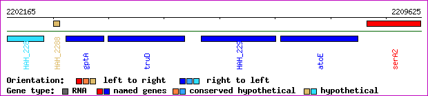 gene map