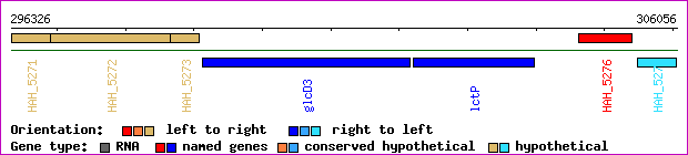 gene map