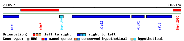 gene map
