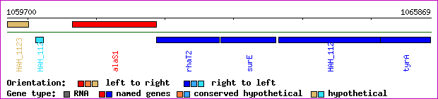 gene map