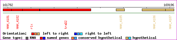 gene map