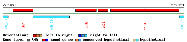 gene map