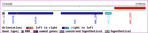 gene map