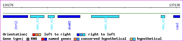 gene map