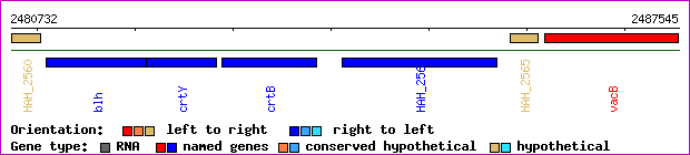 gene map