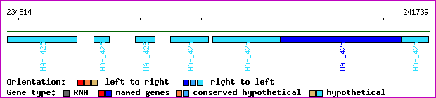 gene map