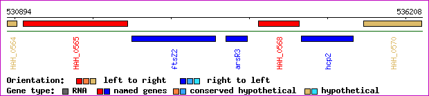 gene map