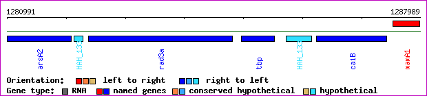 gene map