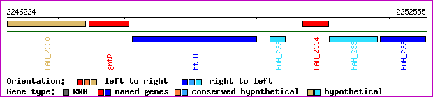gene map