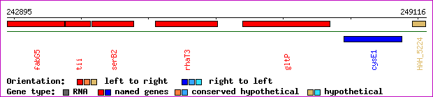 gene map