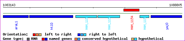 gene map