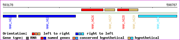 gene map