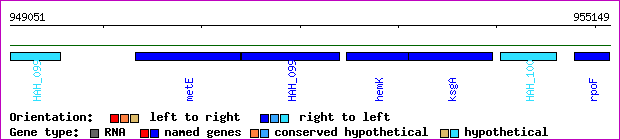 gene map