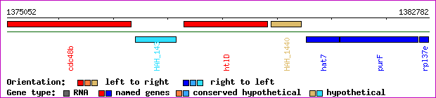 gene map