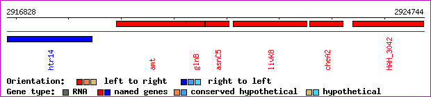 gene map